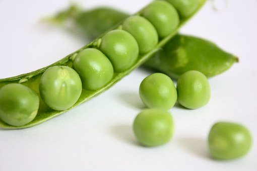 peas-2686__340.jpg