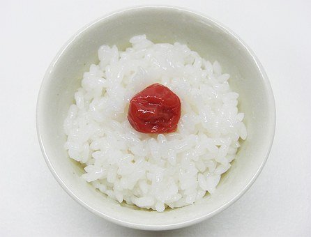 rice-18786__340.jpg