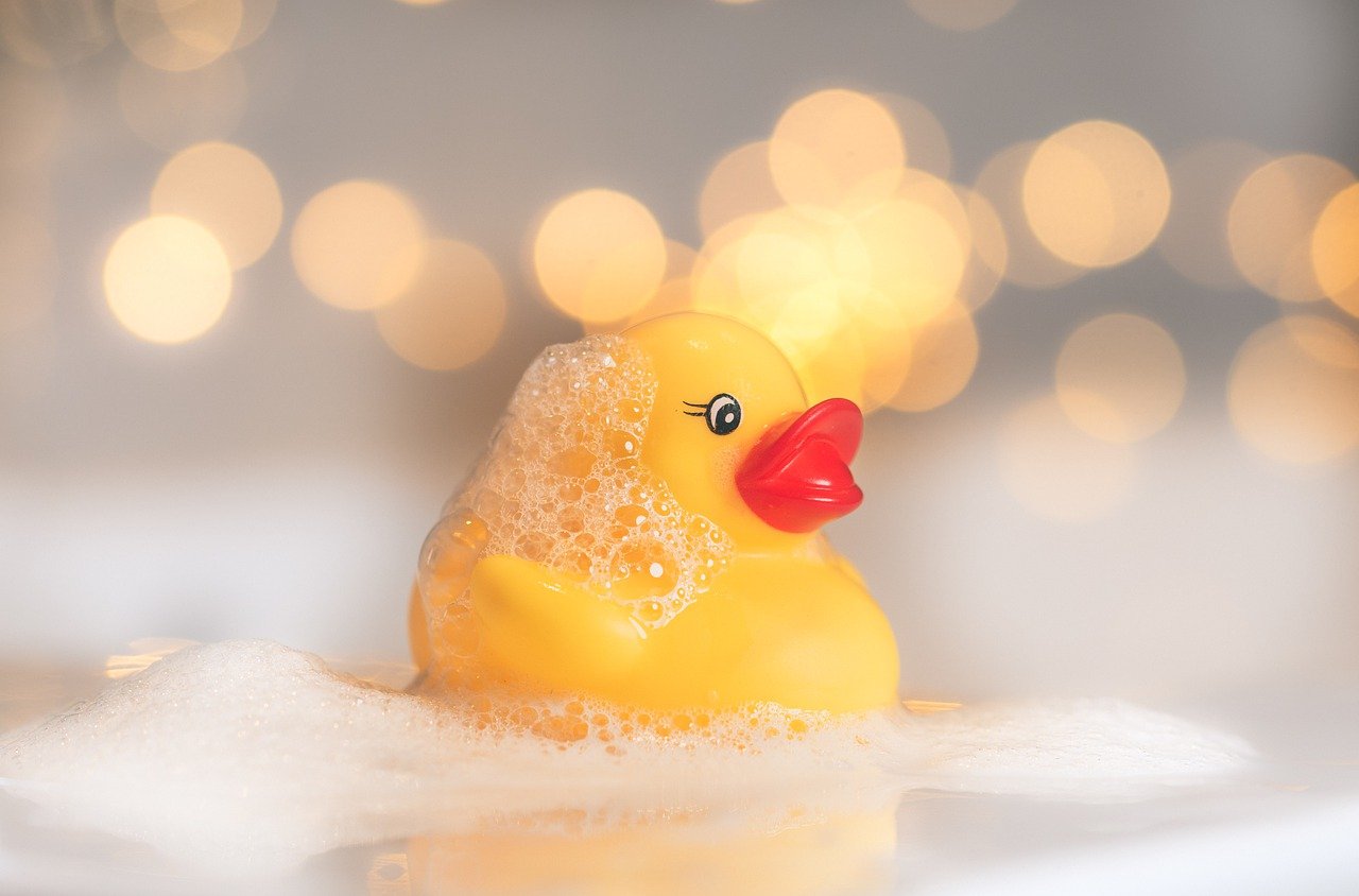 rubber-duck-g74f8739d9_1280.jpg